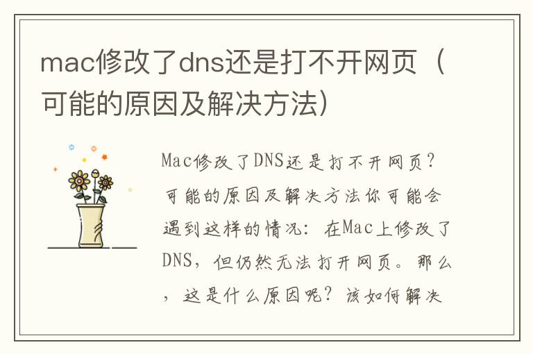 mac修改了dns还是打不开网页（可能的原因及解决方法）