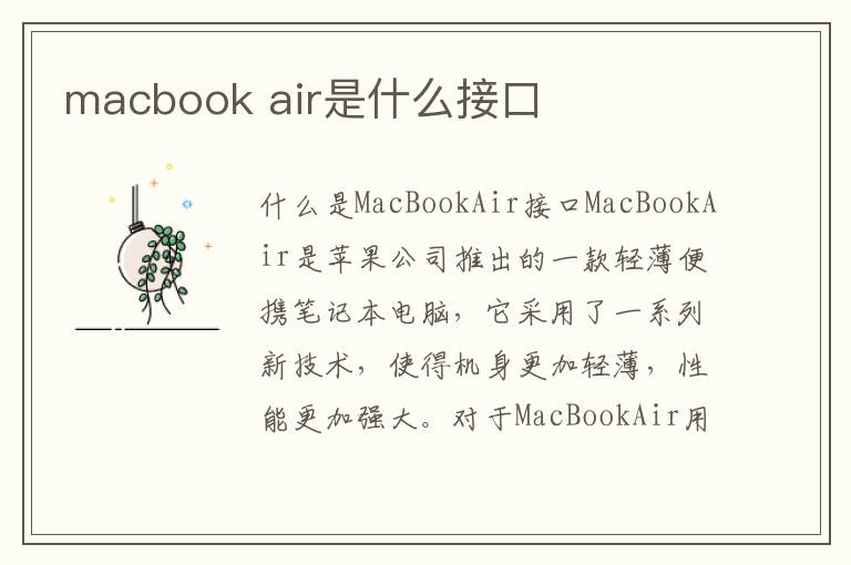 macbook air是什么接口