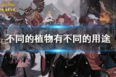 不同的植物有不同的用途草药学的奥秘可是无限的 拼图寻宝11月3日攻略