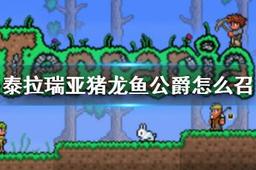 《泰拉瑞亚》猪龙鱼公爵怎么召唤 猪龙鱼公爵BOSS介绍