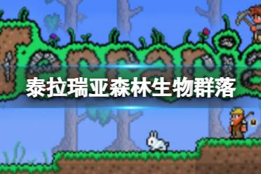 《泰拉瑞亚》森林生物群落怎么样 森林环境介绍