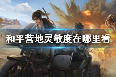 和平营地灵敏度在哪里看 和平营地灵敏度查看方法