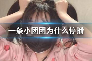 一条小团团为什么停播 一条小团团宣布停播