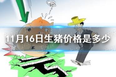11月16日生猪价格是多少 11.16猪肉价格一览表