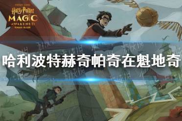 《哈利波特》赫奇帕奇在魁地奇 第五期第七天拼图寻宝哈利波特