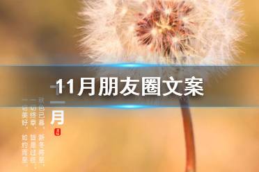 11月朋友圈文案 十一月你好文案说说祝福语