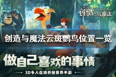 《创造与魔法》云斑鹦鸟在哪里找 创造与魔法云斑鹦鸟位置一览下