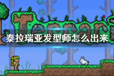 《泰拉瑞亚》发型师怎么出来 发型师入住条件介绍