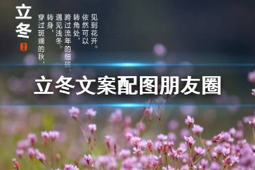 立冬图片大全 立冬文案配图朋友圈