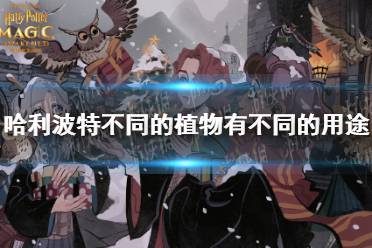 《哈利波特》不同的植物有不同的用途 第五期第一天拼图寻宝