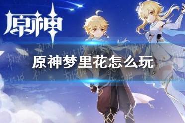 《原神》梦里花怎么玩 梦里花活动介绍