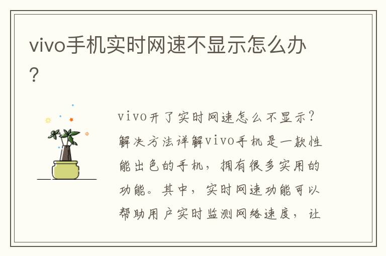 vivo手机实时网速不显示怎么办？