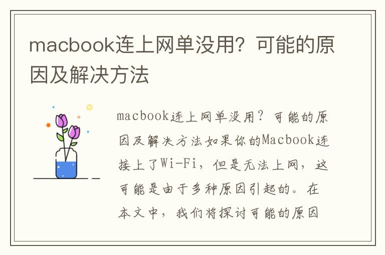 macbook连上网单没用？可能的原因及解决方法