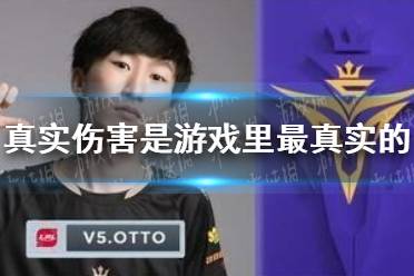 真实伤害是游戏里最真实的伤害是什么梗 真实伤害是游戏里最真实的伤害梗介绍