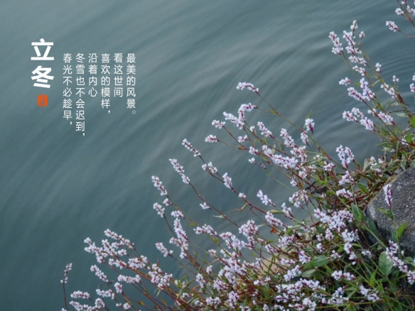 攻略网7