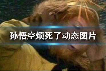 孙悟空烦死了动态图片 孙悟空烦死了表情包