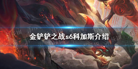 攻略网1