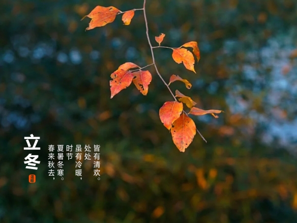 攻略网2