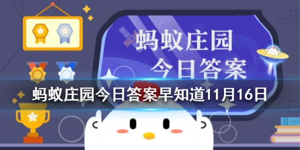 攻略网1
