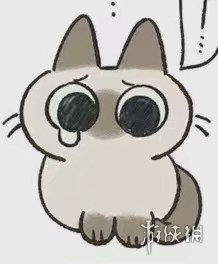 攻略网31