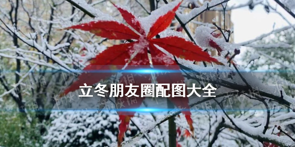 攻略网1