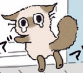 攻略网13