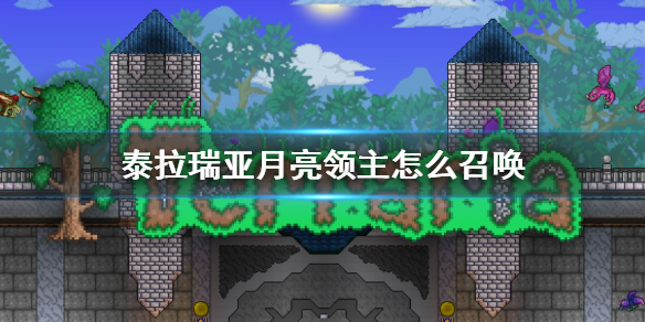 攻略网1