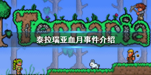 攻略网1