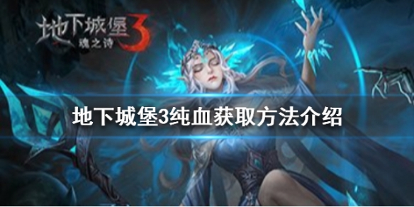 攻略网1