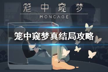 《笼中窥梦》真结局攻略 隐藏真结局怎么达成