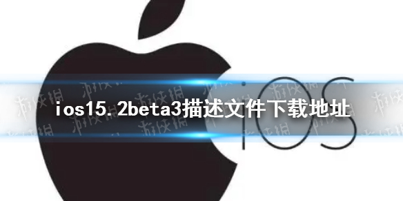 攻略网1