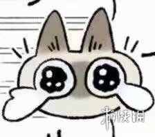 攻略网35