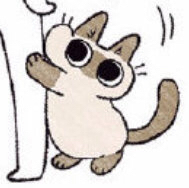 攻略网14