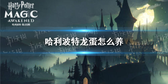 攻略网1