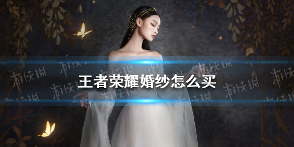 攻略网1