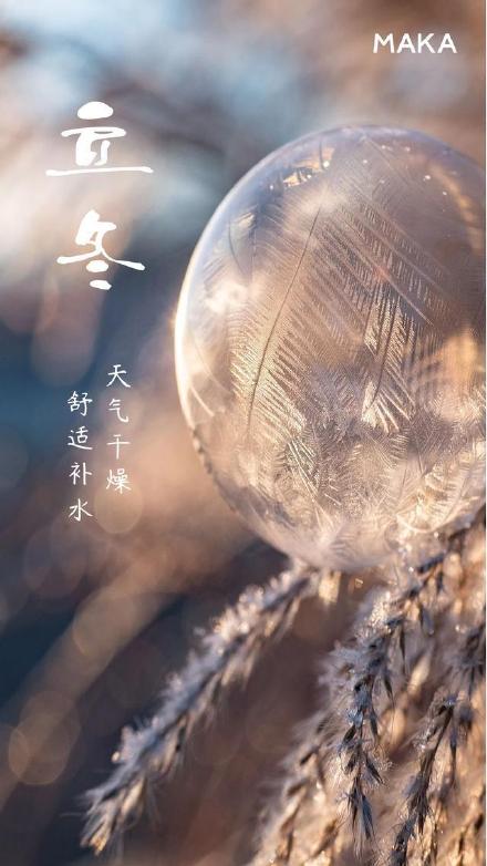攻略网8