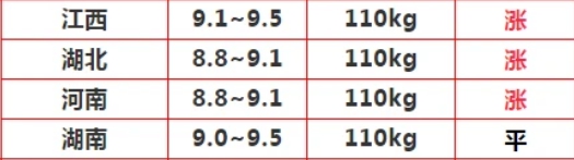 攻略网3