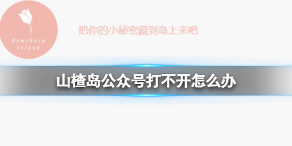 攻略网1