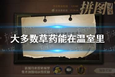 大多数草药能在温室里 拼图寻宝11.8哈利波特