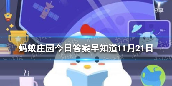 攻略网1