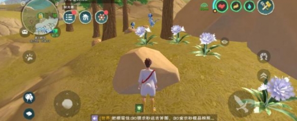攻略网7