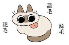 攻略网41