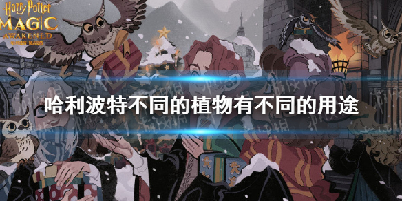 攻略网1