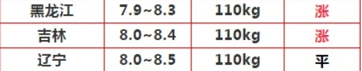 攻略网6