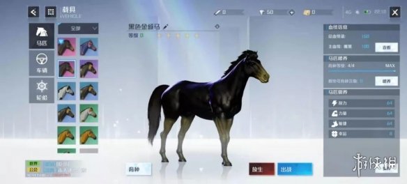 攻略网7