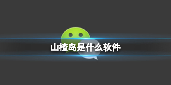 攻略网1