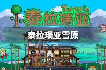 《泰拉瑞亚》雪原生物群落怎么样 雪原环境介绍
