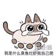 攻略网9