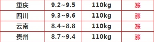 攻略网8