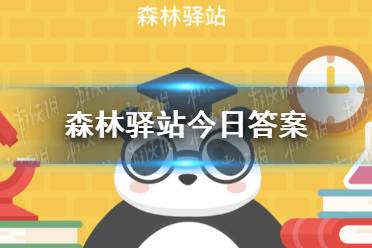 灰林鹗从几岁开始寻找伴侣 森林驿站今日答案11月4日